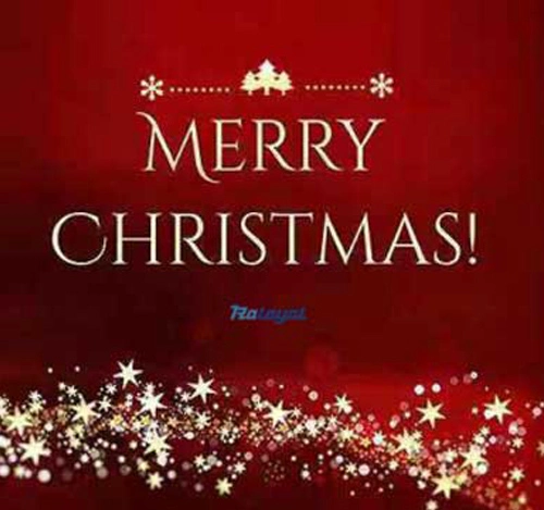 Ruian Loyal desejando-lhe um feliz Natal e um maravilhoso ano novo!